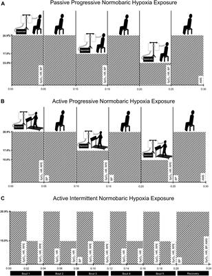 Normobaric Hypoxia Exposure During Treadmill Aerobic Exercise After Stroke: A Safety and Feasibility Study